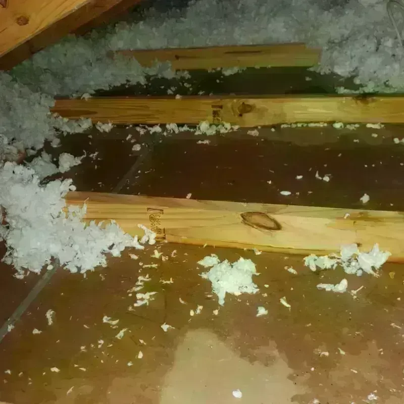 Attic Water Damage in Coffee County, GA